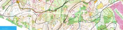 8. Saar-OL-Challenge