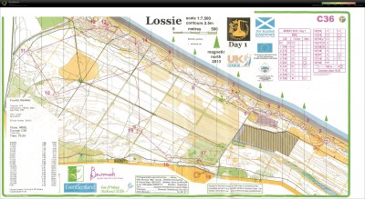 Lossie Forest - die 1. Regenetappe