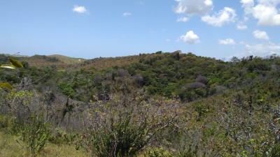 IMG_20181027_105049734.jpg