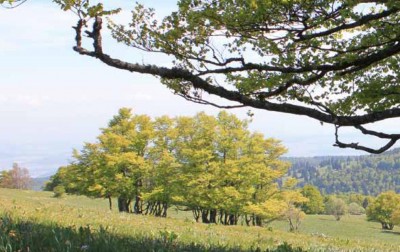 ein Landschaftseindruck