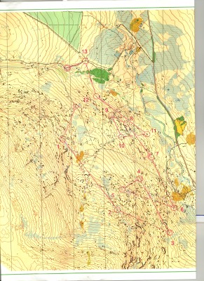 Intervarsities - Map: Glendasan (Laragh, County Wicklow)